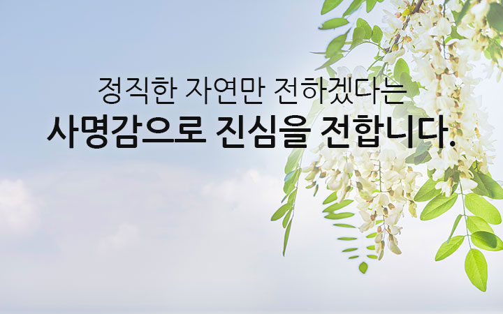 메인비주얼2