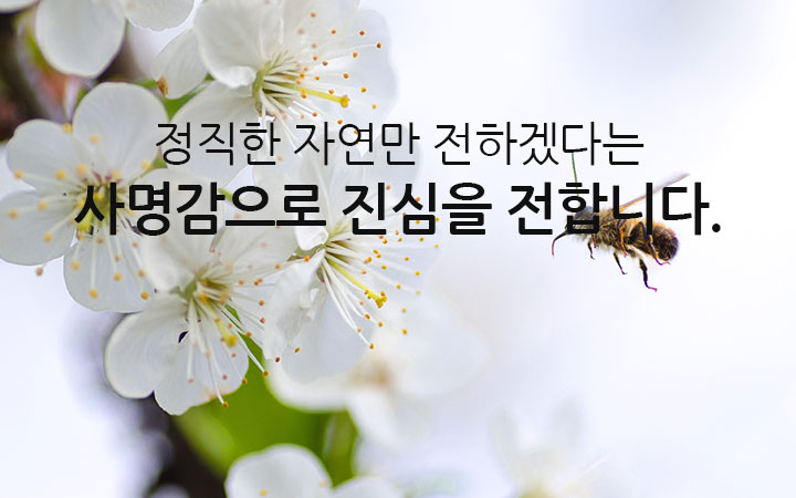 메인비주얼3